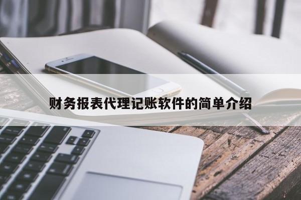 财务报表代理记账软件的简单介绍