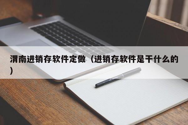 渭南进销存软件定做（进销存软件是干什么的）