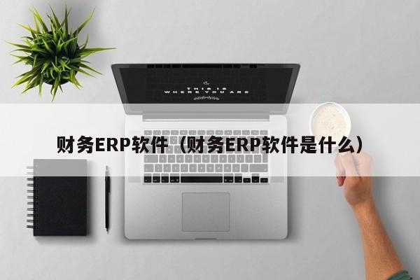 财务ERP软件（财务ERP软件是什么）