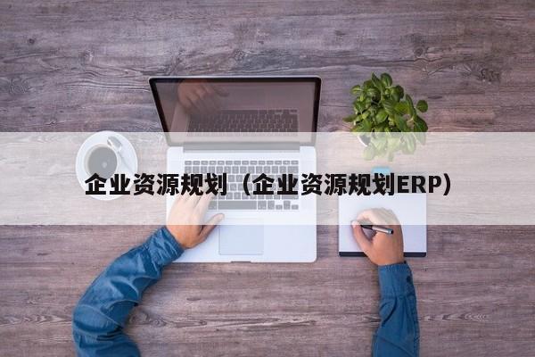 企业资源规划（企业资源规划ERP）