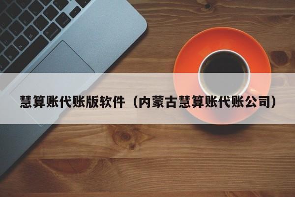 慧算账代账版软件（内蒙古慧算账代账公司）