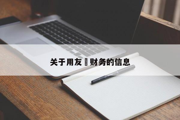 关于用友 财务的信息