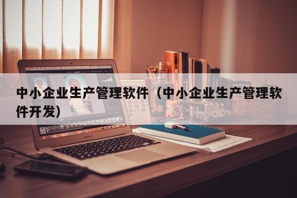 中小企业生产管理软件（中小企业生产管理软件开发）