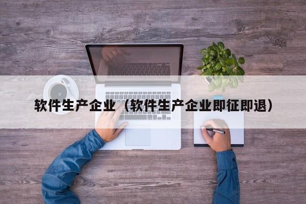 软件生产企业（软件生产企业即征即退）