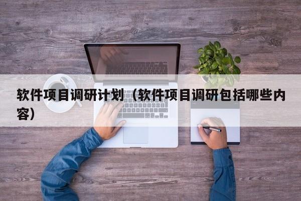 软件项目调研计划（软件项目调研包括哪些内容）