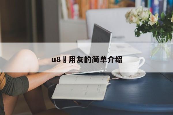 u8 用友的简单介绍