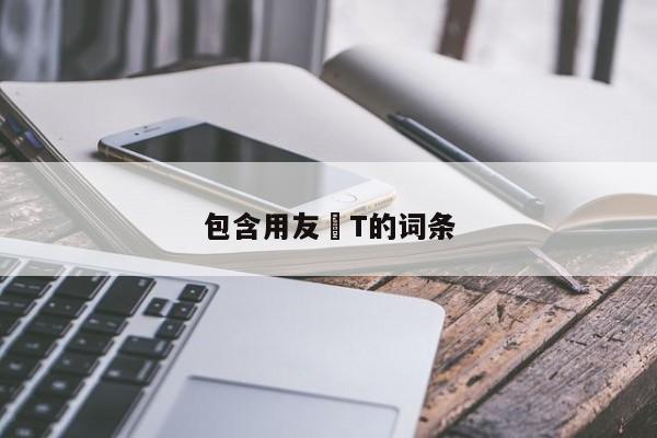 包含用友 T的词条