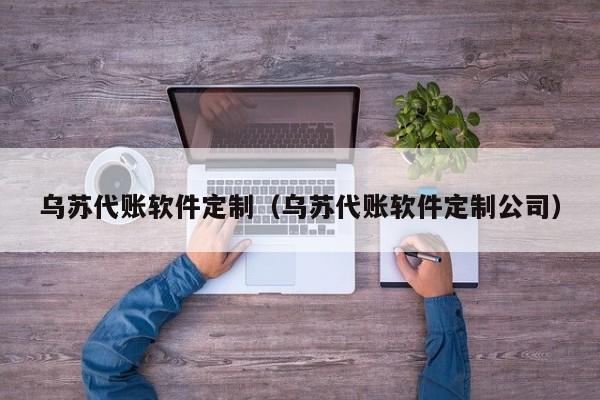 乌苏代账软件定制（乌苏代账软件定制公司）