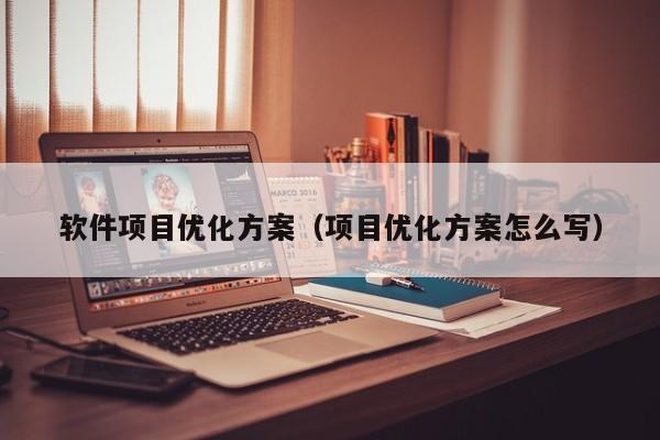 软件项目优化方案（项目优化方案怎么写）