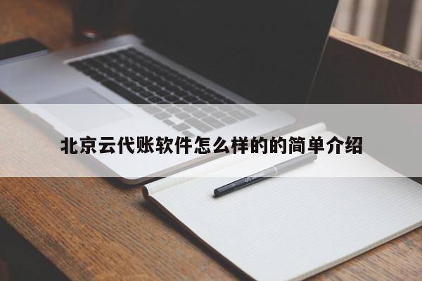 北京云代账软件怎么样的的简单介绍