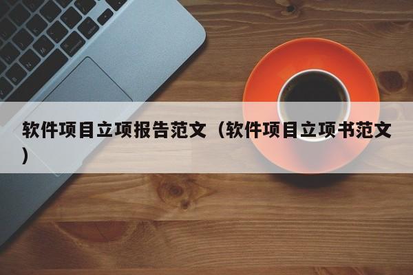 软件项目立项报告范文（软件项目立项书范文）