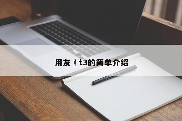 用友 t3的简单介绍