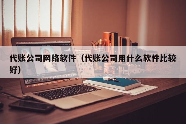 代账公司网络软件（代账公司用什么软件比较好）