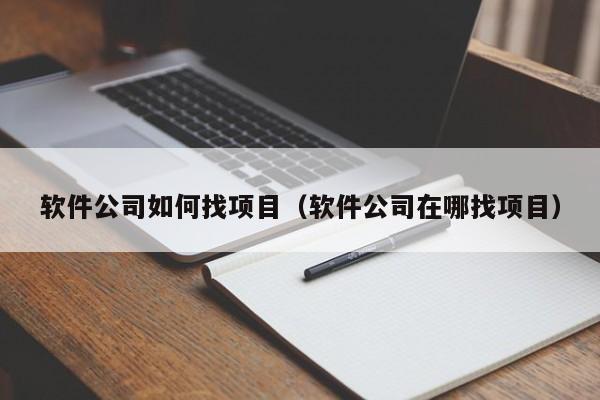 软件公司如何找项目（软件公司在哪找项目）