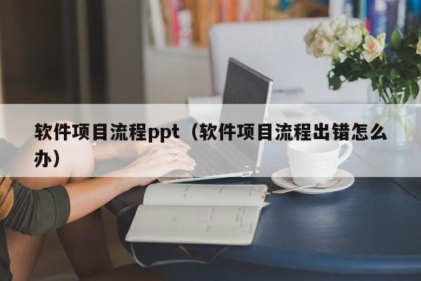 软件项目流程ppt（软件项目流程出错怎么办）