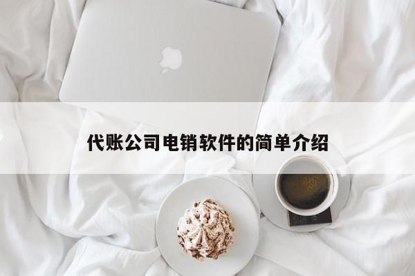 代账公司电销软件的简单介绍