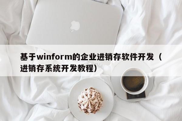 基于winform的企业进销存软件开发（进销存系统开发教程）