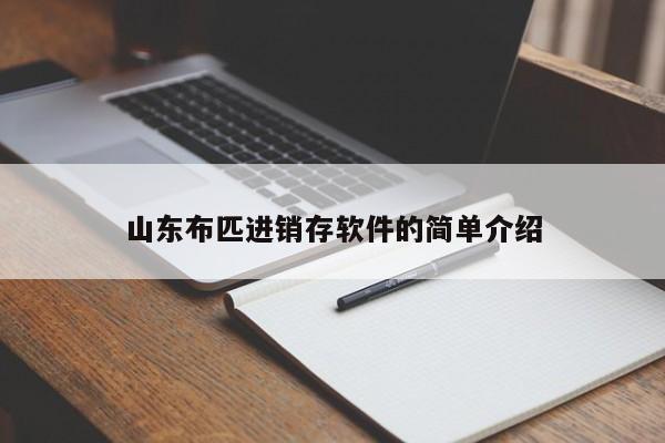 山东布匹进销存软件的简单介绍