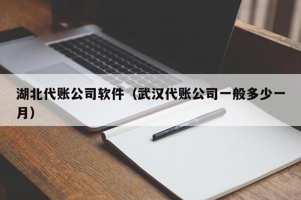 湖北代账公司软件（武汉代账公司一般多少一月）