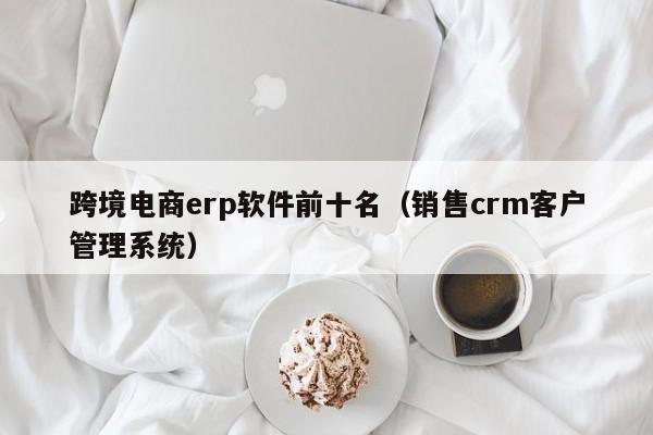 跨境电商erp软件前十名（销售crm客户管理系统）