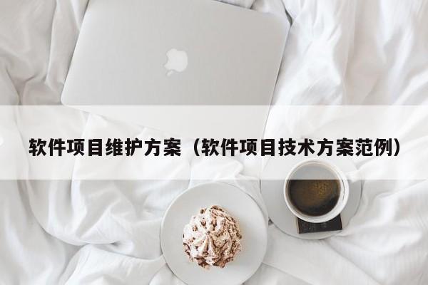 软件项目维护方案（软件项目技术方案范例）