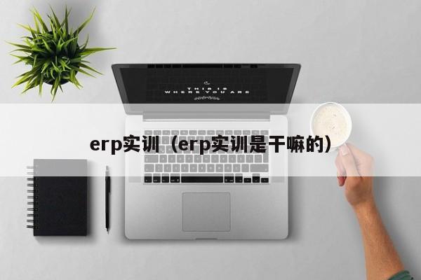 erp实训（erp实训是干嘛的）