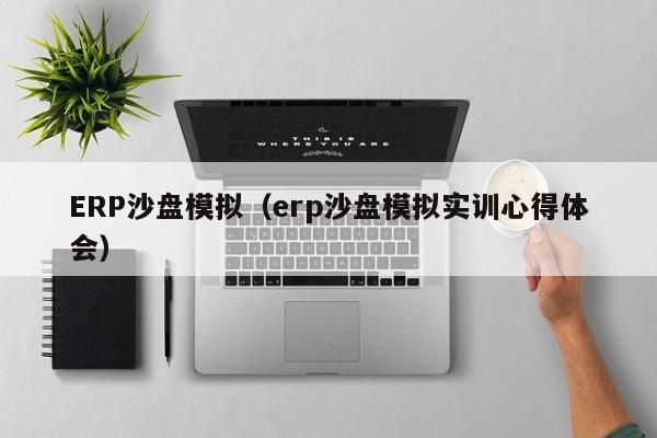 ERP沙盘模拟（erp沙盘模拟实训心得体会）