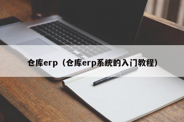 仓库erp（仓库erp系统的入门教程）