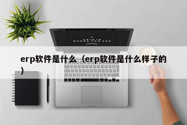 erp软件是什么（erp软件是什么样子的）