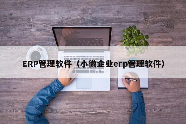 ERP管理软件（小微企业erp管理软件）