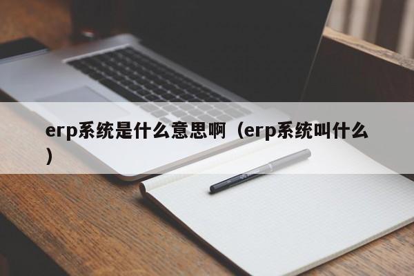 erp系统是什么意思啊（erp系统叫什么）