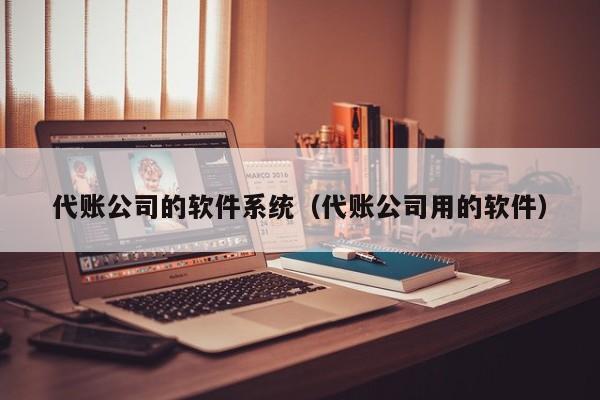 代账公司的软件系统（代账公司用的软件）