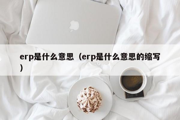 erp是什么意思（erp是什么意思的缩写）