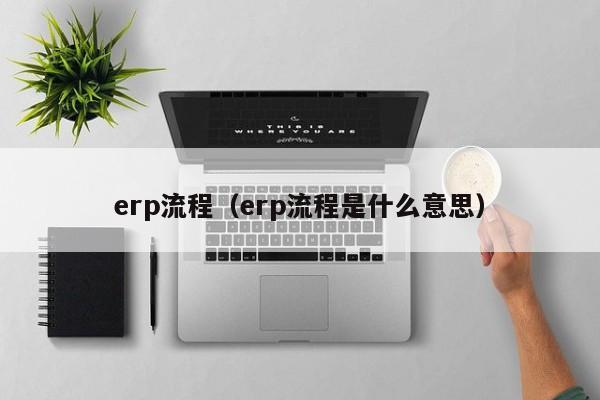 erp流程（erp流程是什么意思）