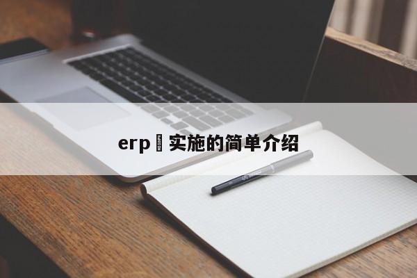 erp 实施的简单介绍