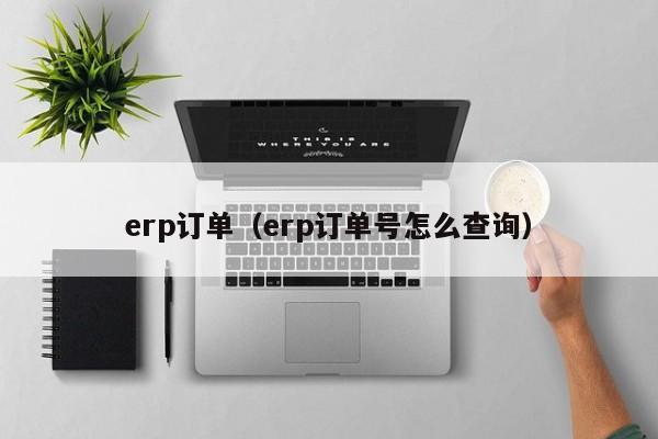 erp订单（erp订单号怎么查询）