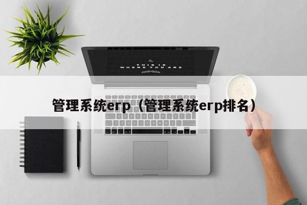 管理系统erp（管理系统erp排名）