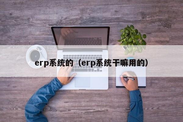 erp系统的（erp系统干嘛用的）