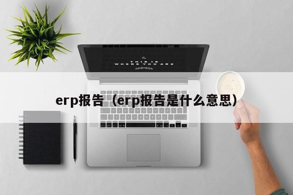 erp报告（erp报告是什么意思）