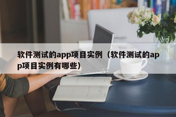 软件测试的app项目实例（软件测试的app项目实例有哪些）