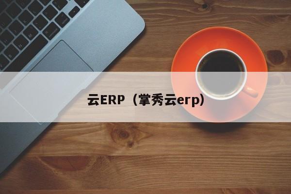 云ERP（掌秀云erp）