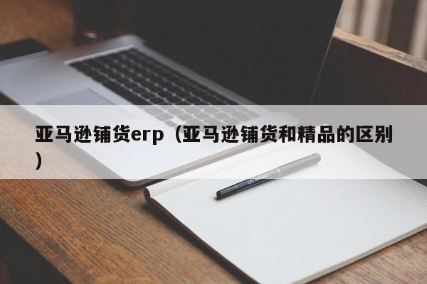 亚马逊铺货erp（亚马逊铺货和精品的区别）