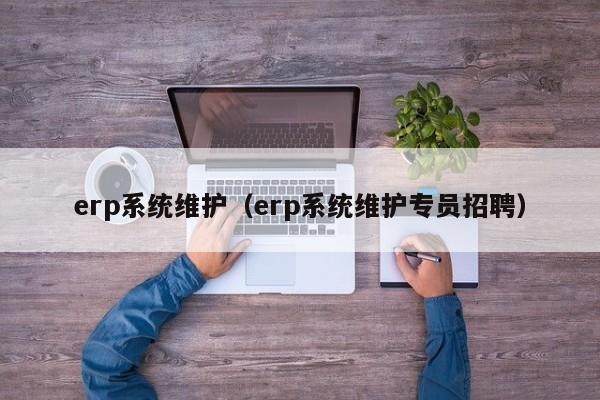 erp系统维护（erp系统维护专员招聘）