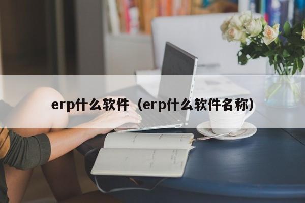 erp什么软件（erp什么软件名称）