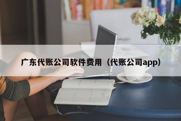 广东代账公司软件费用（代账公司app）