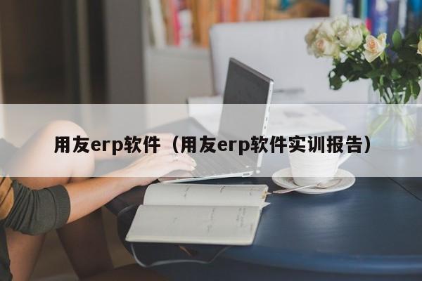 用友erp软件（用友erp软件实训报告）