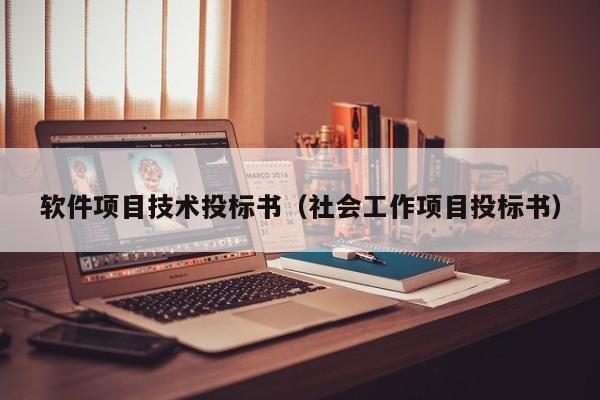 软件项目技术投标书（社会工作项目投标书）