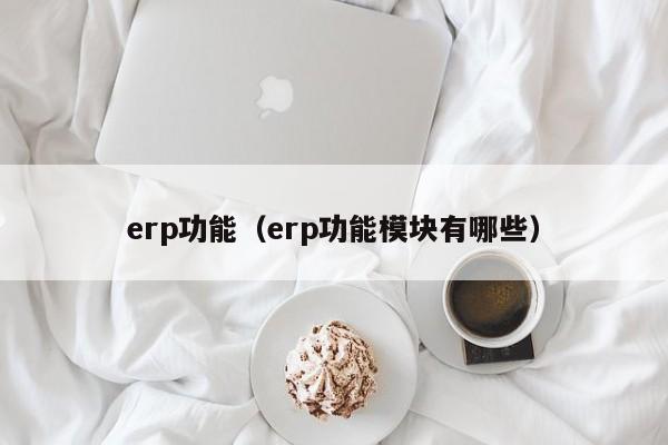 erp功能（erp功能模块有哪些）