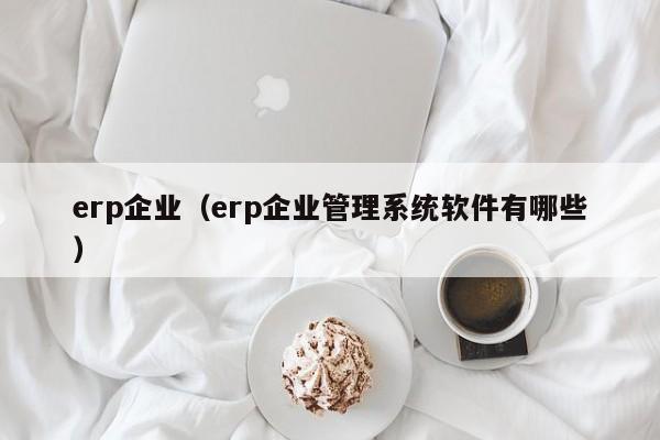 erp企业（erp企业管理系统软件有哪些）