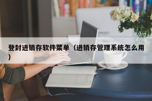 登封进销存软件菜单（进销存管理系统怎么用）